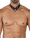 Cut4Men - Wetlook Collar met strap en Cockring - Zwart-Erotiekvoordeel.nl