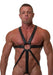 665 - Body Harnas - Neoprene Jock Harness - Zwart - Riemenbody - Verkrijgbaar in S/M en L/XL-Erotiekvoordeel.nl