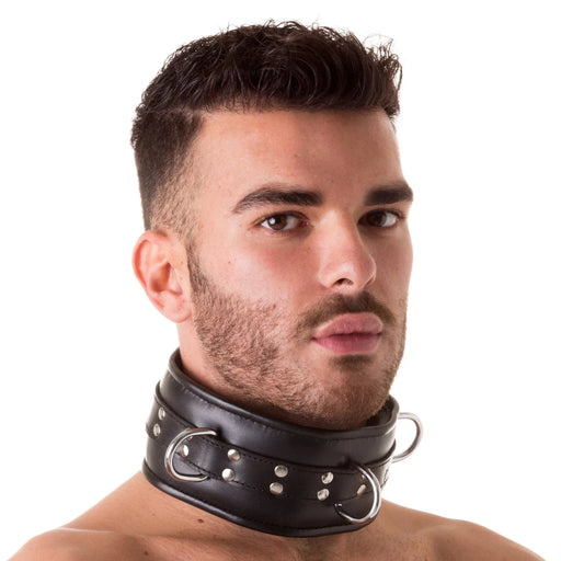 665 Leather - Collar - Halsband - Afsluitbaar - Heavy Duty Lockable Collar-Erotiekvoordeel.nl