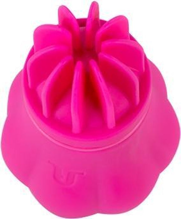 Adrien Lastic - Caress Clitoris Vibrator - Met vijf opzetstukken - Roze-Erotiekvoordeel.nl