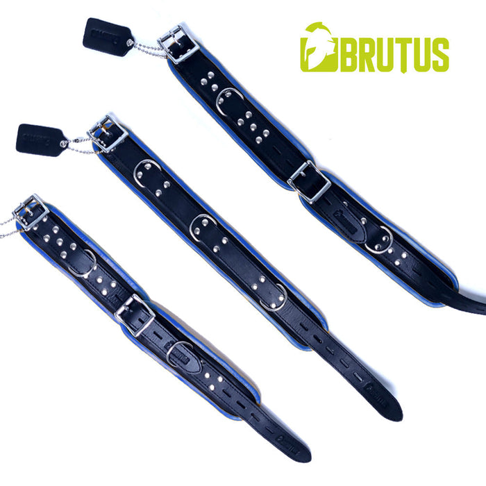 Brutus - Tuiglederen Zwart/Blauwe Afsluitbare Collar - Leather Collar Black Blue-Erotiekvoordeel.nl