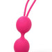 Dorcel - Dual Balls - Vaginale Balletjes Voor Bekkenbodem Training - Roze-Erotiekvoordeel.nl