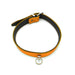 Kiotos Leather - Collar met Kleine O-ring - Leder - Oranje-Erotiekvoordeel.nl