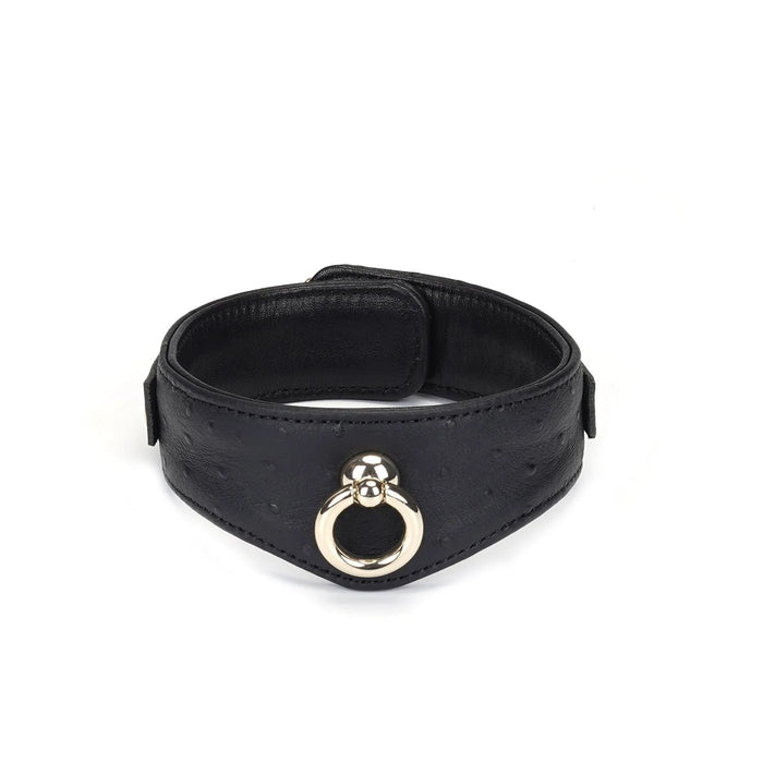 Liebe Seele - Demon's Kiss - Curved Collar Met Leash - Luxe En exclusief ontwerp - Zwart/Goud-Erotiekvoordeel.nl