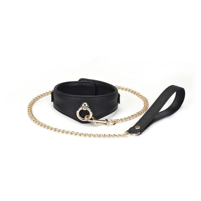 Liebe Seele - Demon's Kiss - Curved Collar Met Leash - Luxe En exclusief ontwerp - Zwart/Goud-Erotiekvoordeel.nl