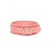 Liebe Seele - Pink Dream Leren Collar Met Leiband - Roze-Erotiekvoordeel.nl