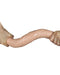 Lovetoy - Kingsize Slim Ultra Dubbele Dildo 45 cm - Lichte Huidskleur-Erotiekvoordeel.nl