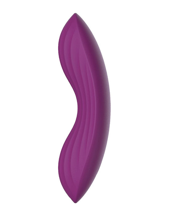 Svakom - Edeny - Vibrerend Slipje Met Clitoris Vibrator - Paars-Erotiekvoordeel.nl