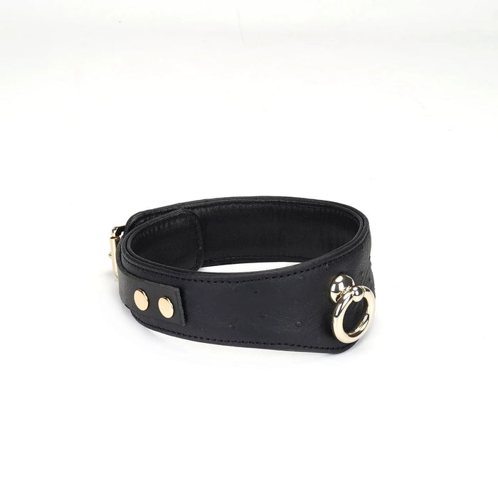 Liebe Seele - Demon's Kiss - Curved Collar Met Leash - Luxe En exclusief ontwerp - Zwart/Goud-Erotiekvoordeel.nl